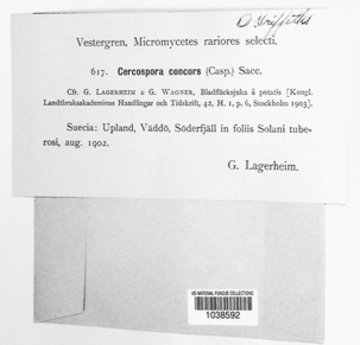 Passalora concors image